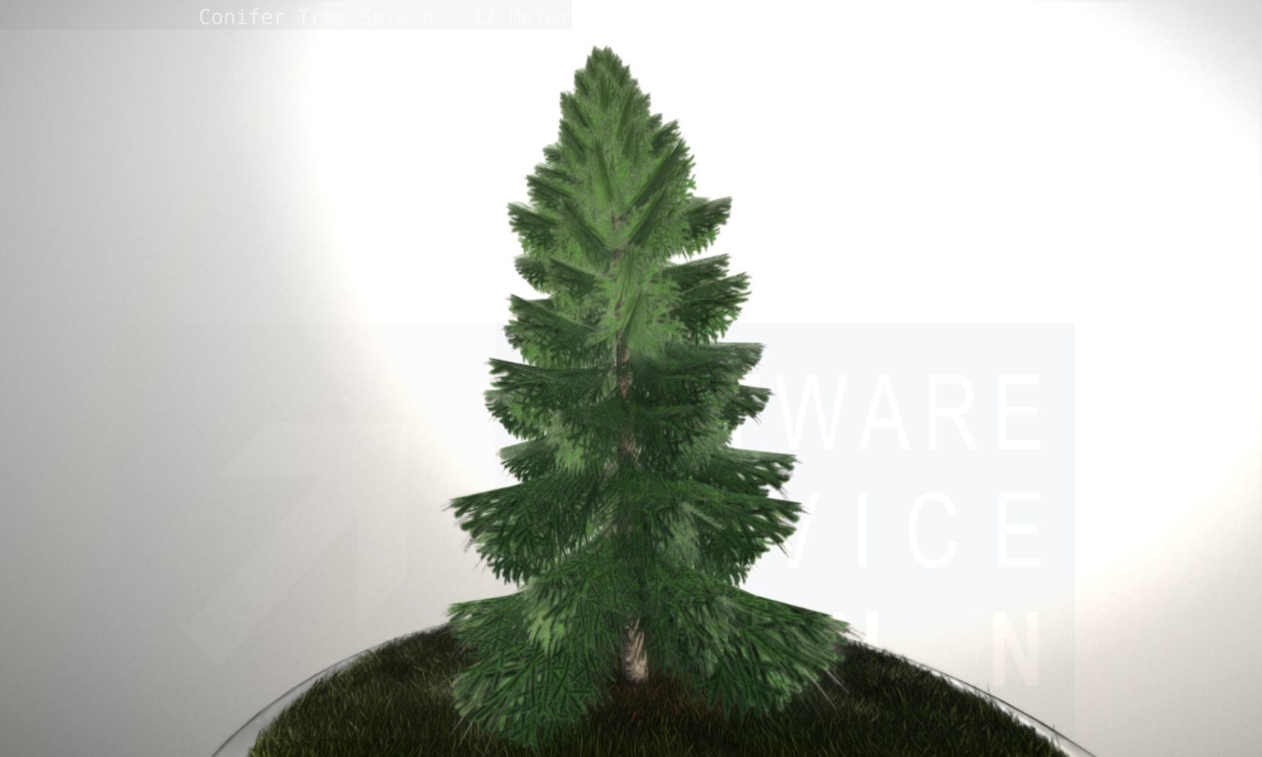 Conifer Tree Spruce - 12 Meter Low-poly 3D model_56