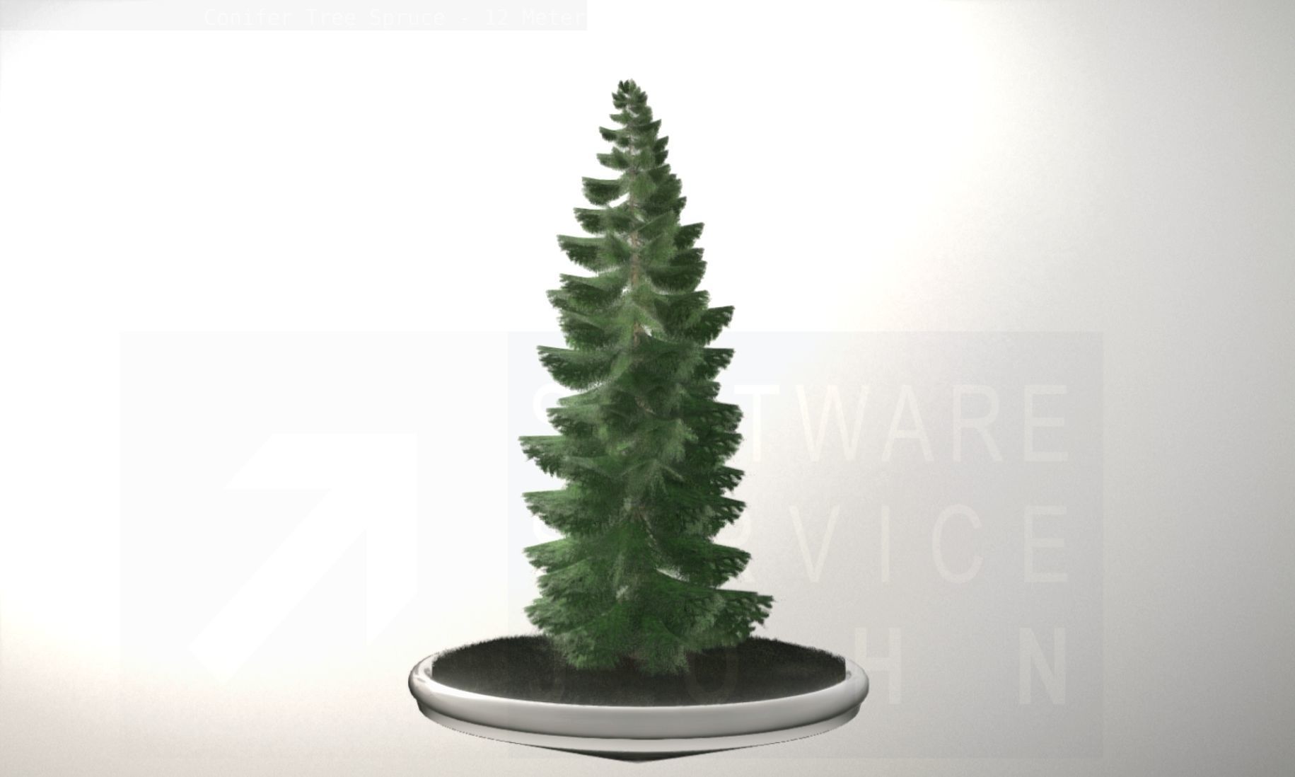 Conifer Tree Spruce - 12 Meter Low-poly 3D model_20