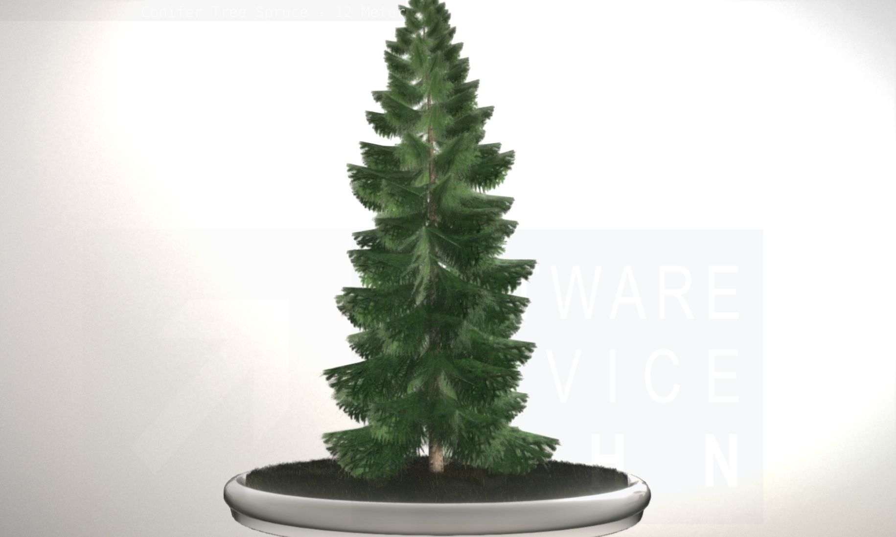 Conifer Tree Spruce - 12 Meter Low-poly 3D model_35