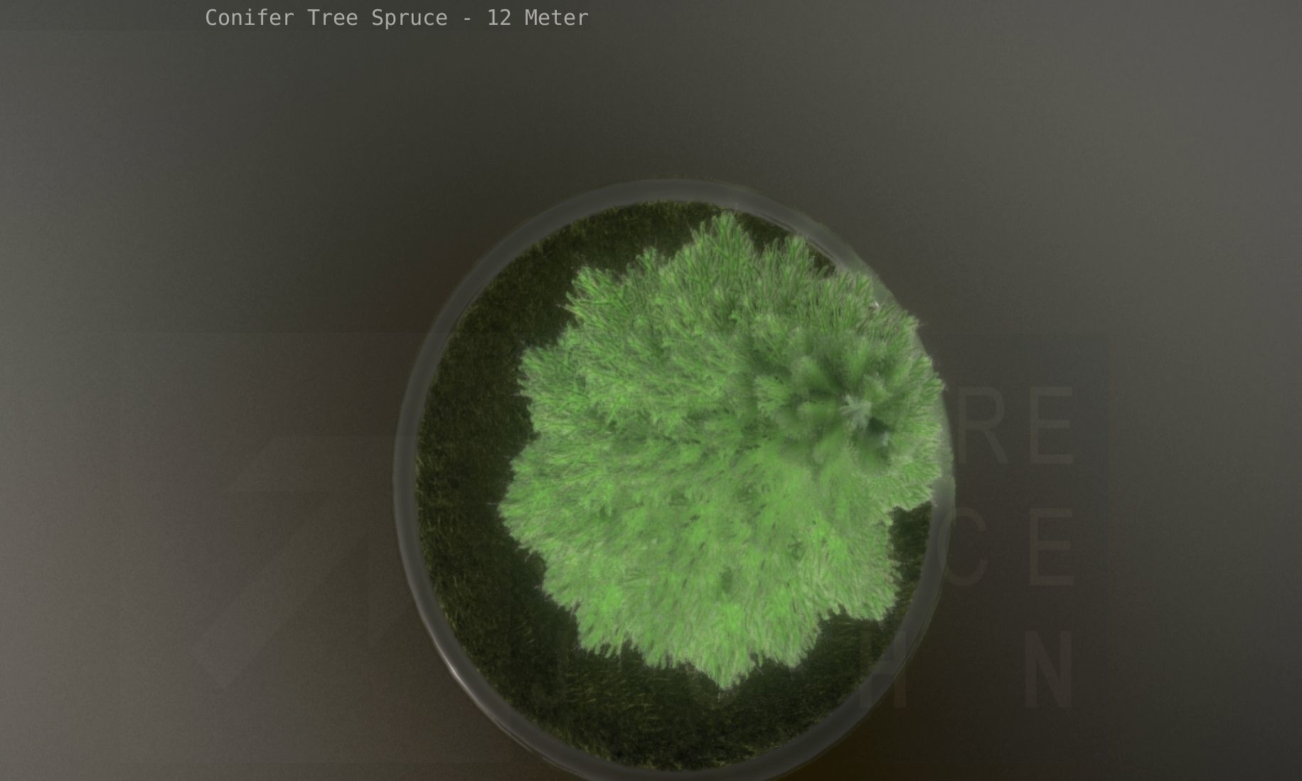 Conifer Tree Spruce - 12 Meter Low-poly 3D model_102
