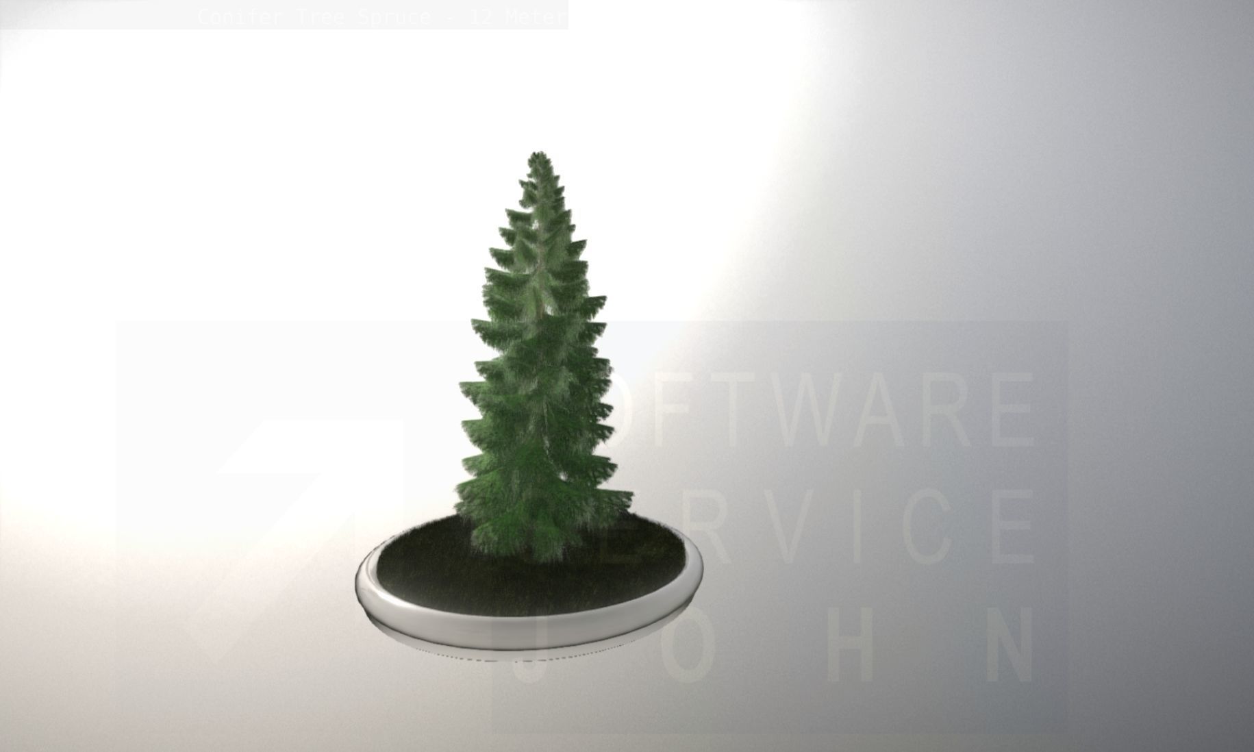 Conifer Tree Spruce - 12 Meter Low-poly 3D model_91