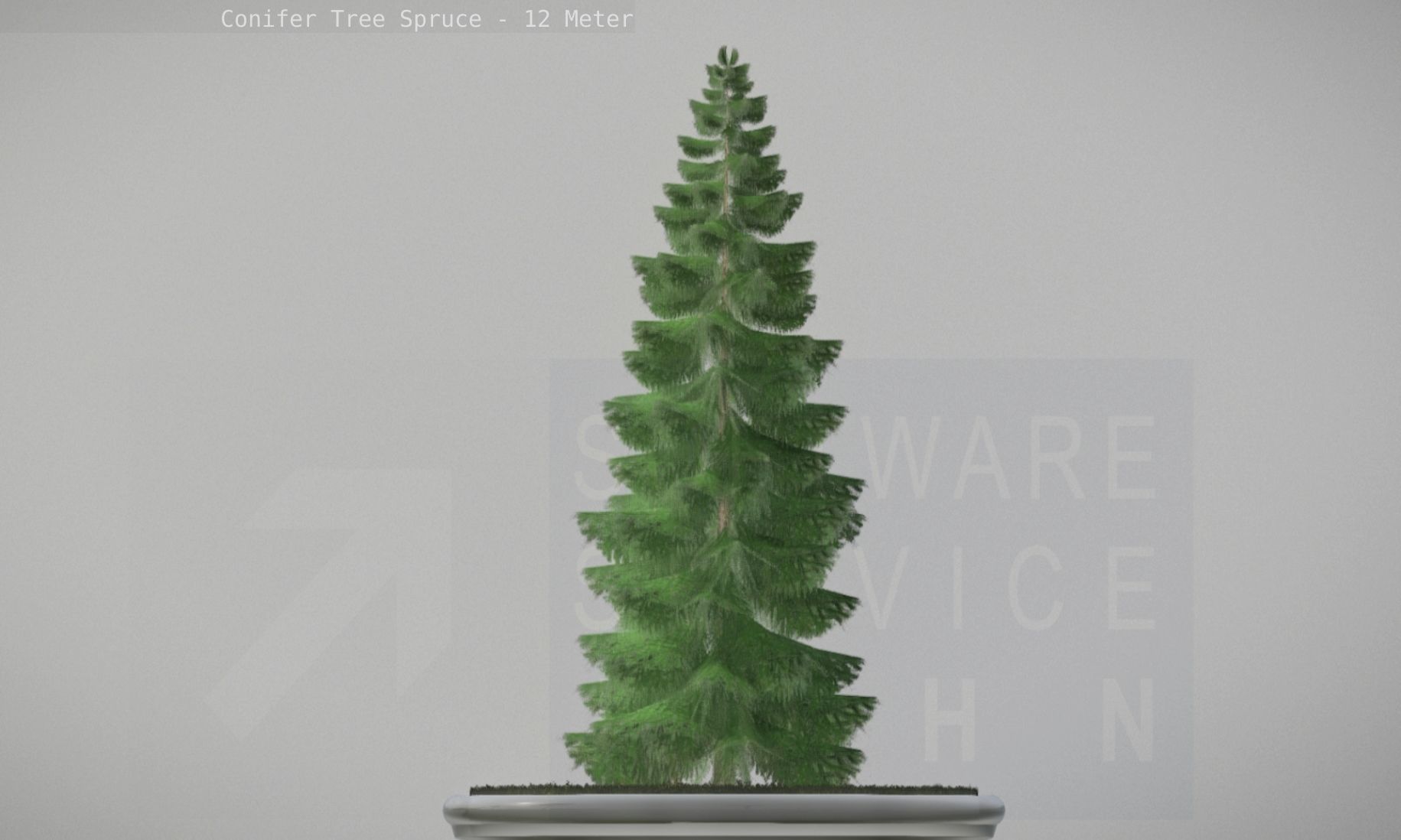 Conifer Tree Spruce - 12 Meter Low-poly 3D model_76