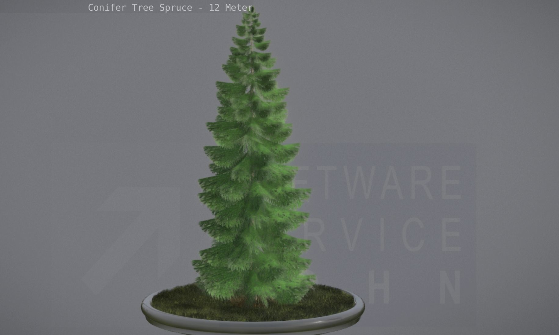 Conifer Tree Spruce - 12 Meter Low-poly 3D model_80