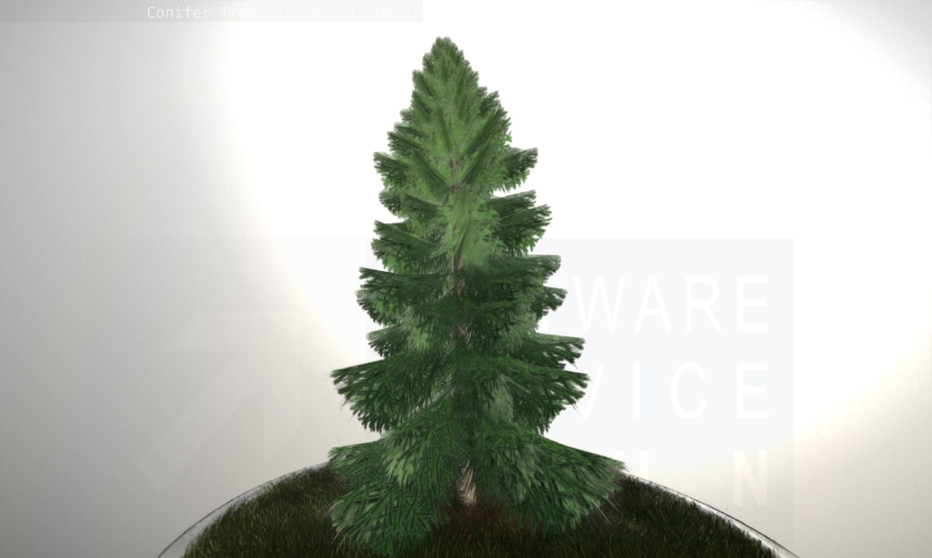 Conifer Tree Spruce - 12 Meter Low-poly 3D model_101
