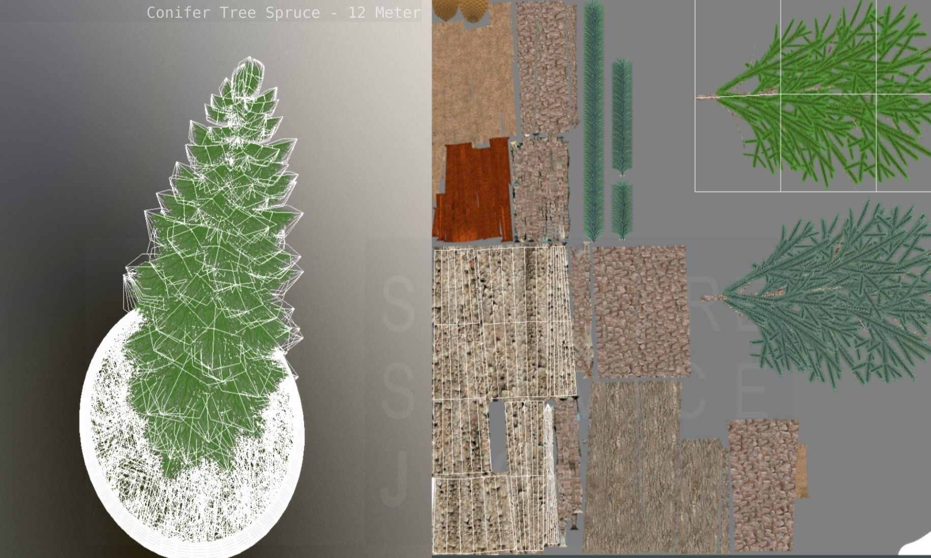Conifer Tree Spruce - 12 Meter Low-poly 3D model_2