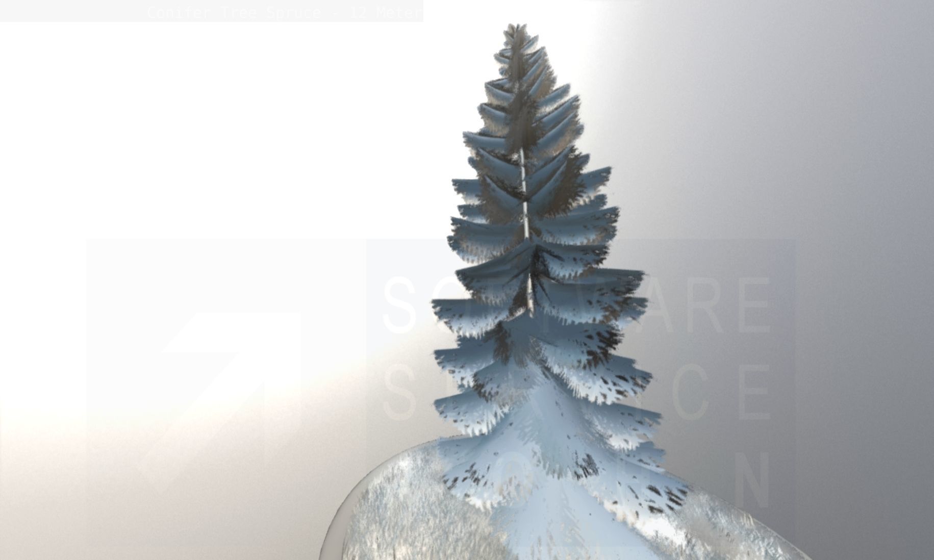 Conifer Tree Spruce - 12 Meter Low-poly 3D model_55