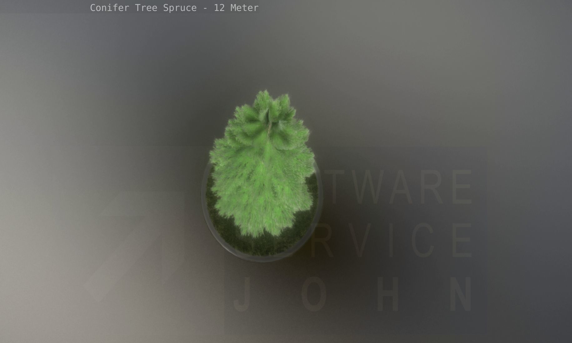 Conifer Tree Spruce - 12 Meter Low-poly 3D model_90