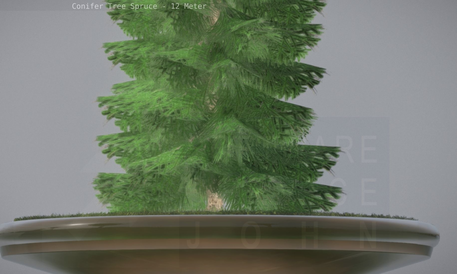 Conifer Tree Spruce - 12 Meter Low-poly 3D model_14