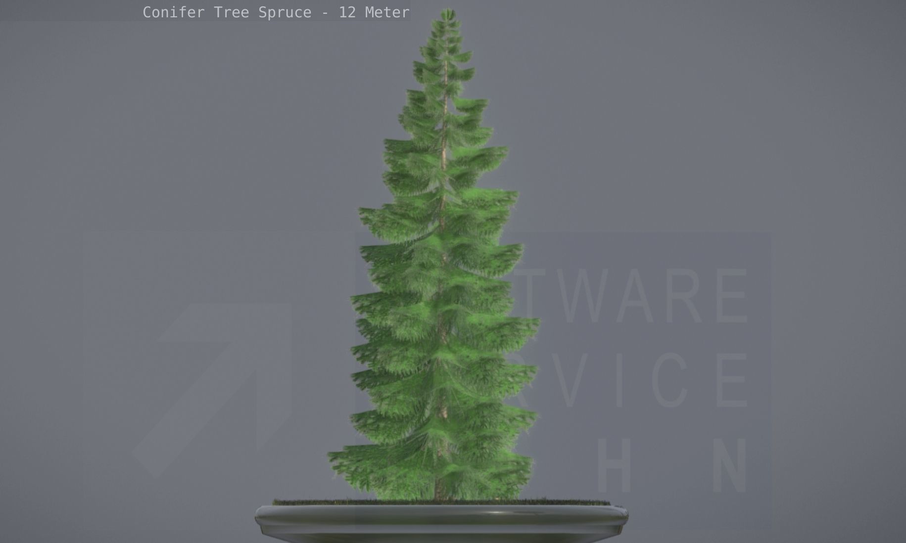 Conifer Tree Spruce - 12 Meter Low-poly 3D model_13