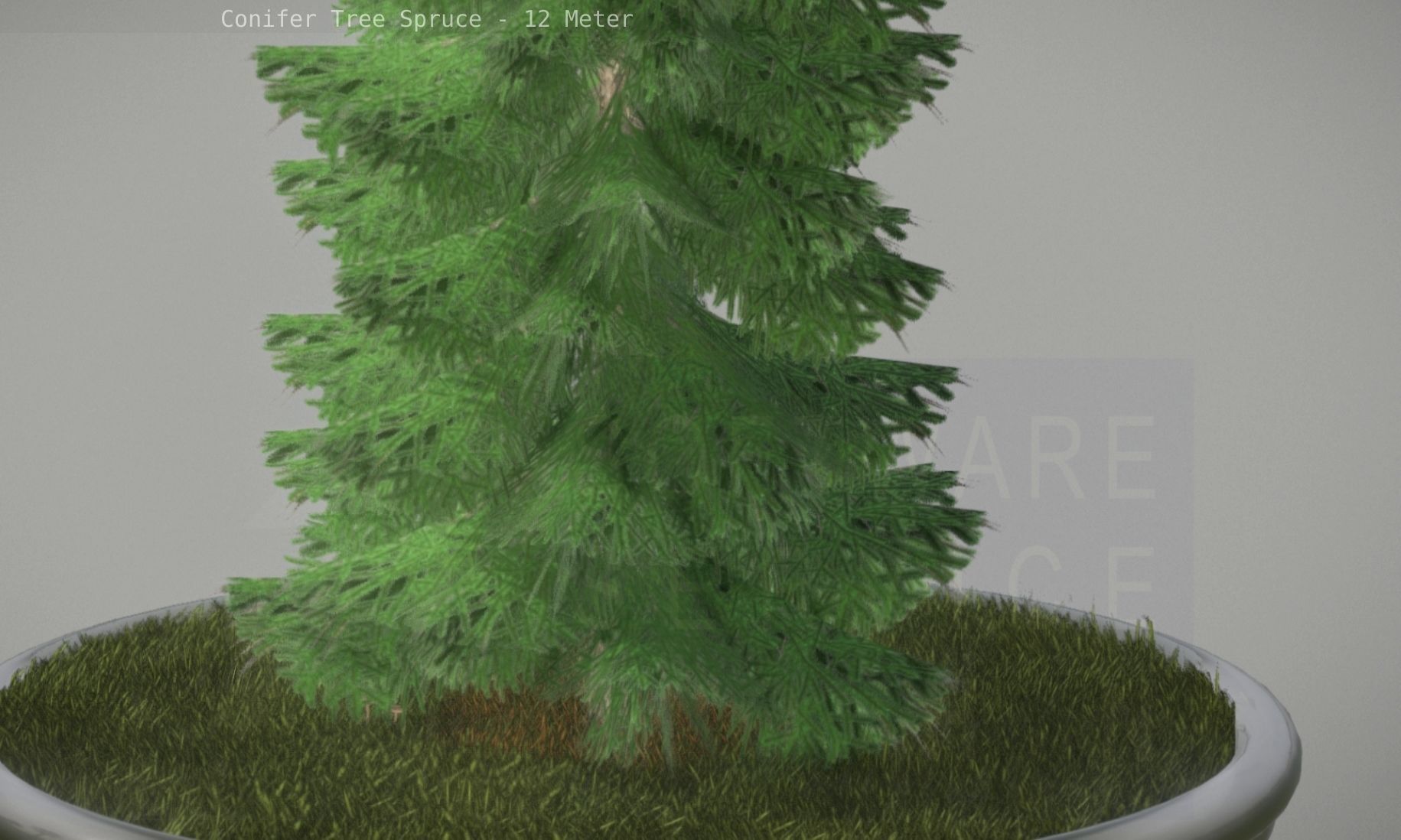 Conifer Tree Spruce - 12 Meter Low-poly 3D model_69