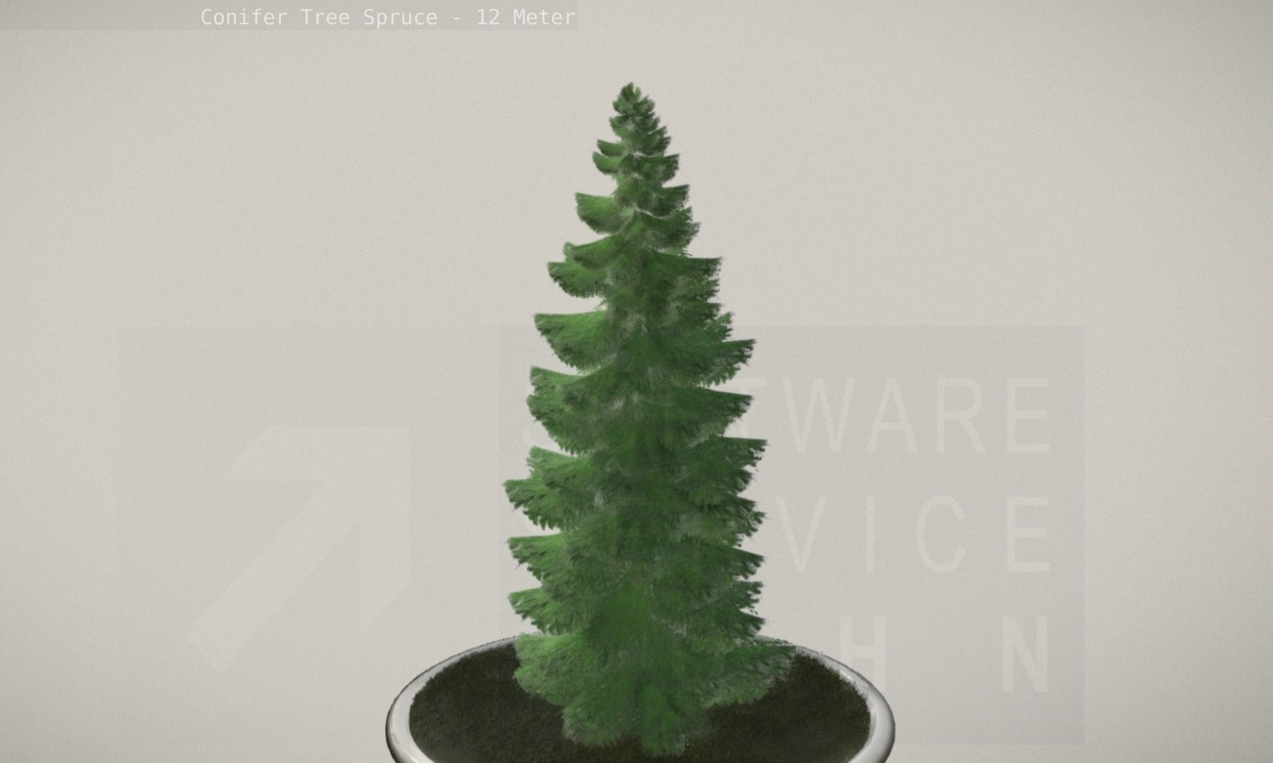 Conifer Tree Spruce - 12 Meter Low-poly 3D model_78