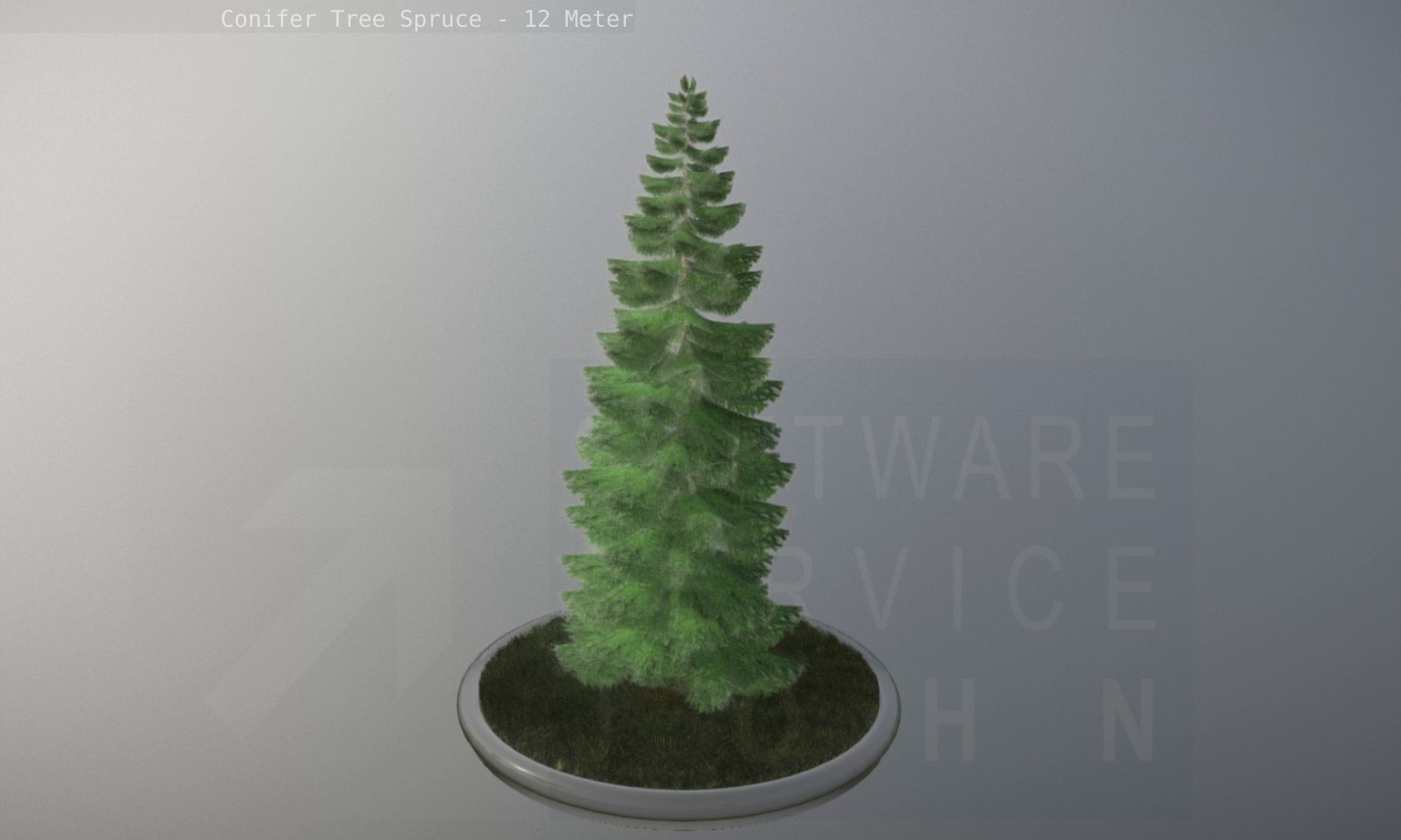 Conifer Tree Spruce - 12 Meter Low-poly 3D model_24