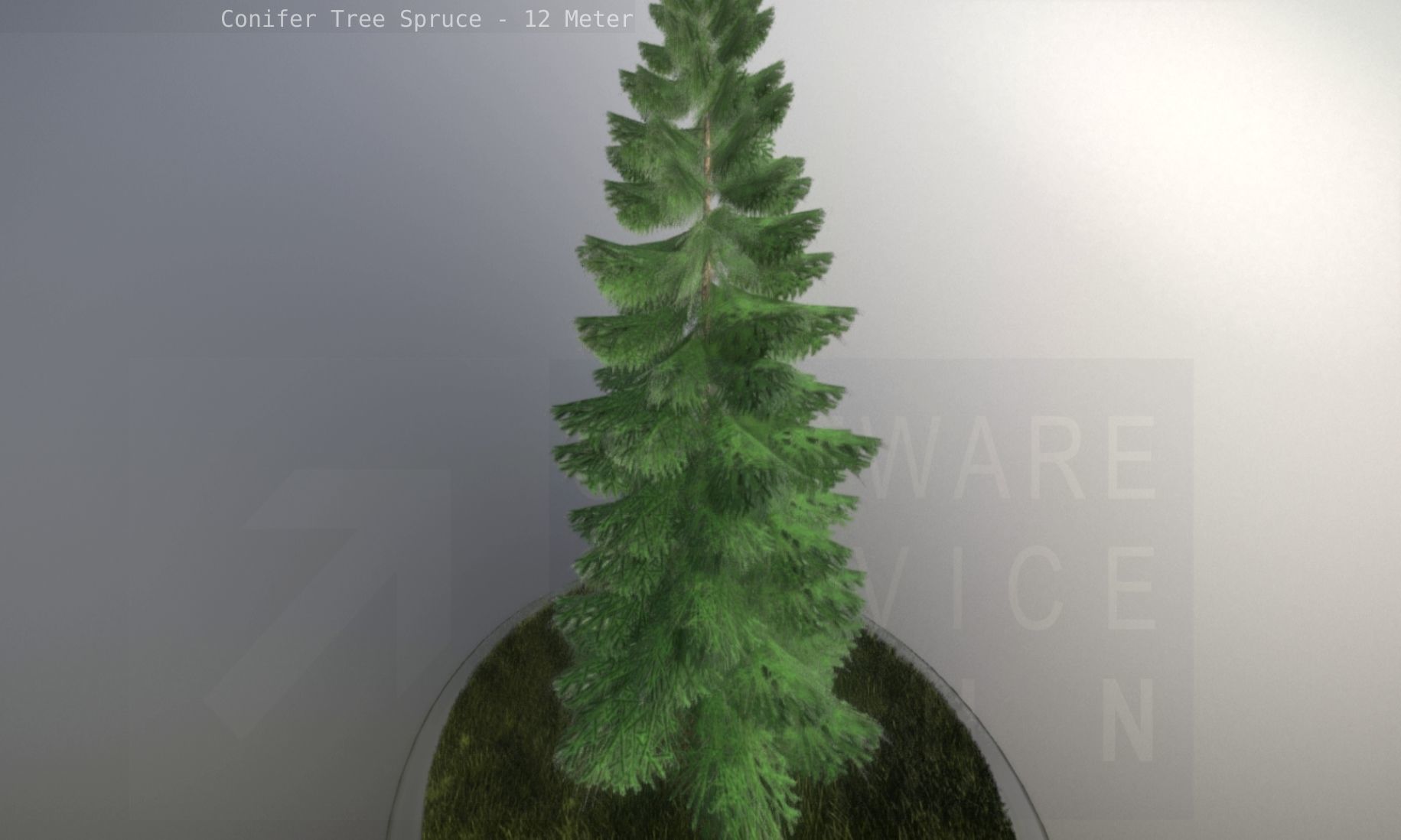 Conifer Tree Spruce - 12 Meter Low-poly 3D model_17