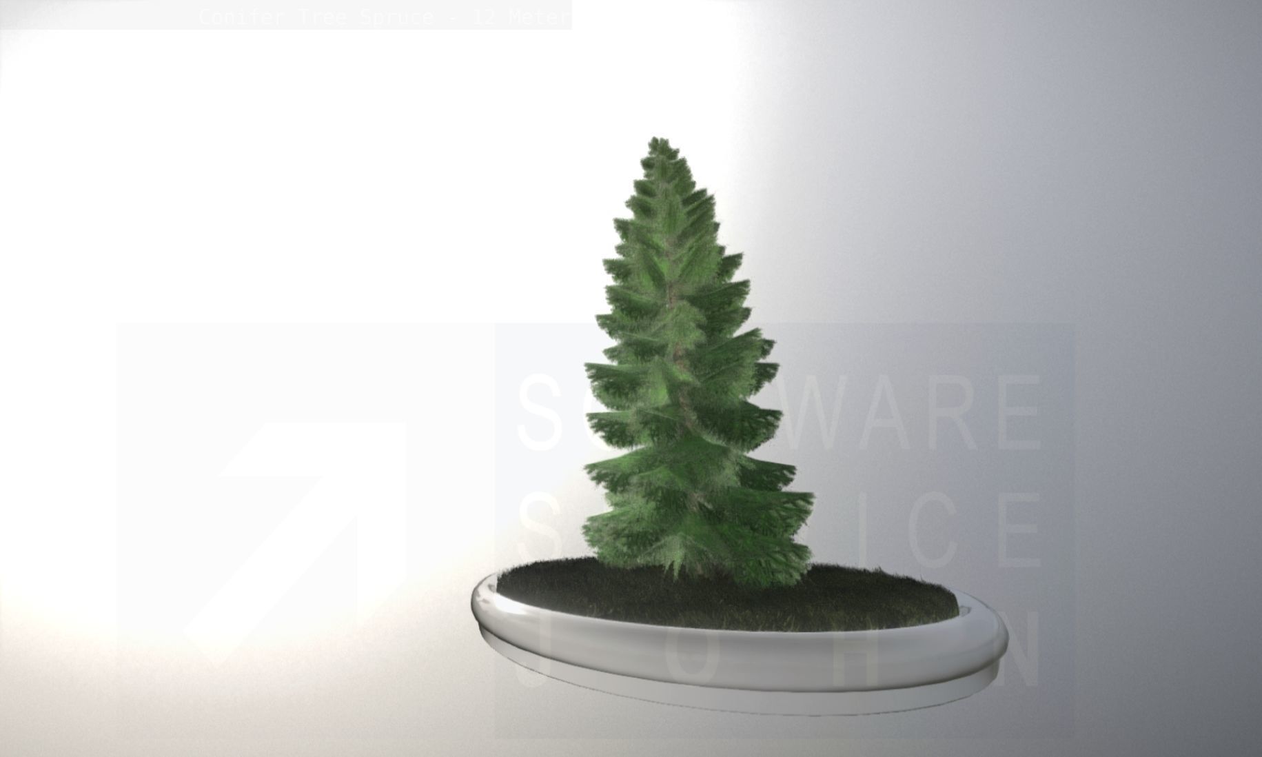 Conifer Tree Spruce - 12 Meter Low-poly 3D model_92