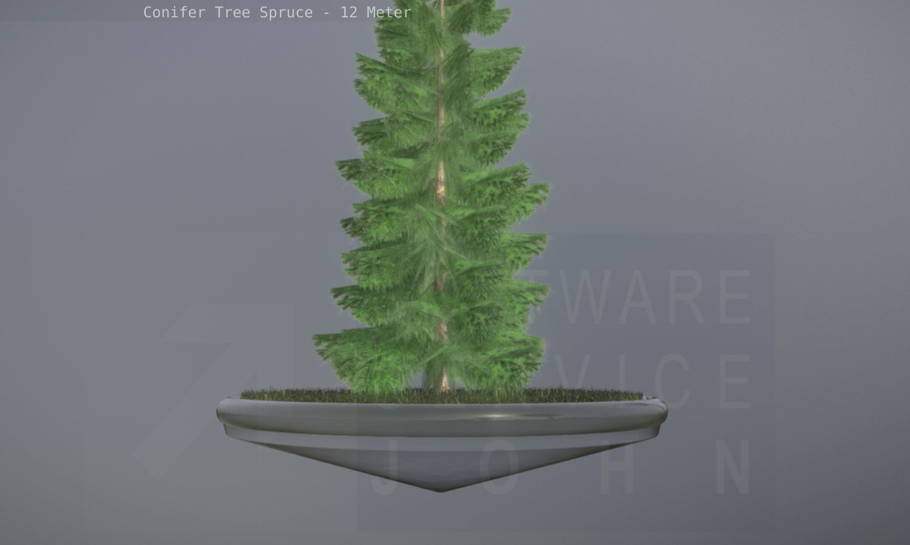 Conifer Tree Spruce - 12 Meter Low-poly 3D model_61