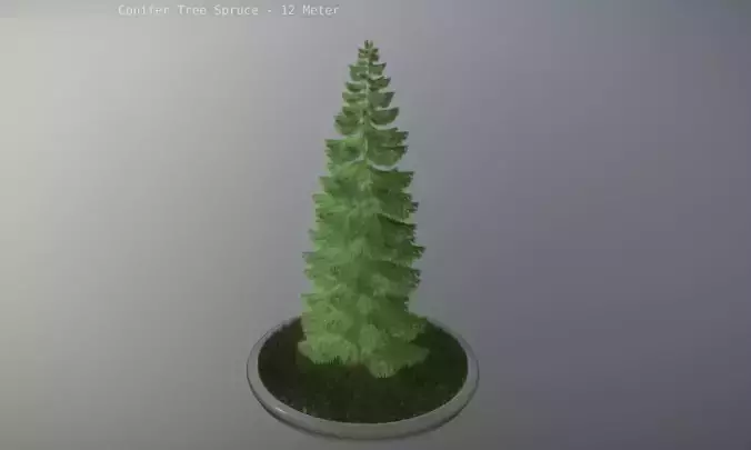 Conifer Tree Spruce - 12 Meter Low-poly 3D model