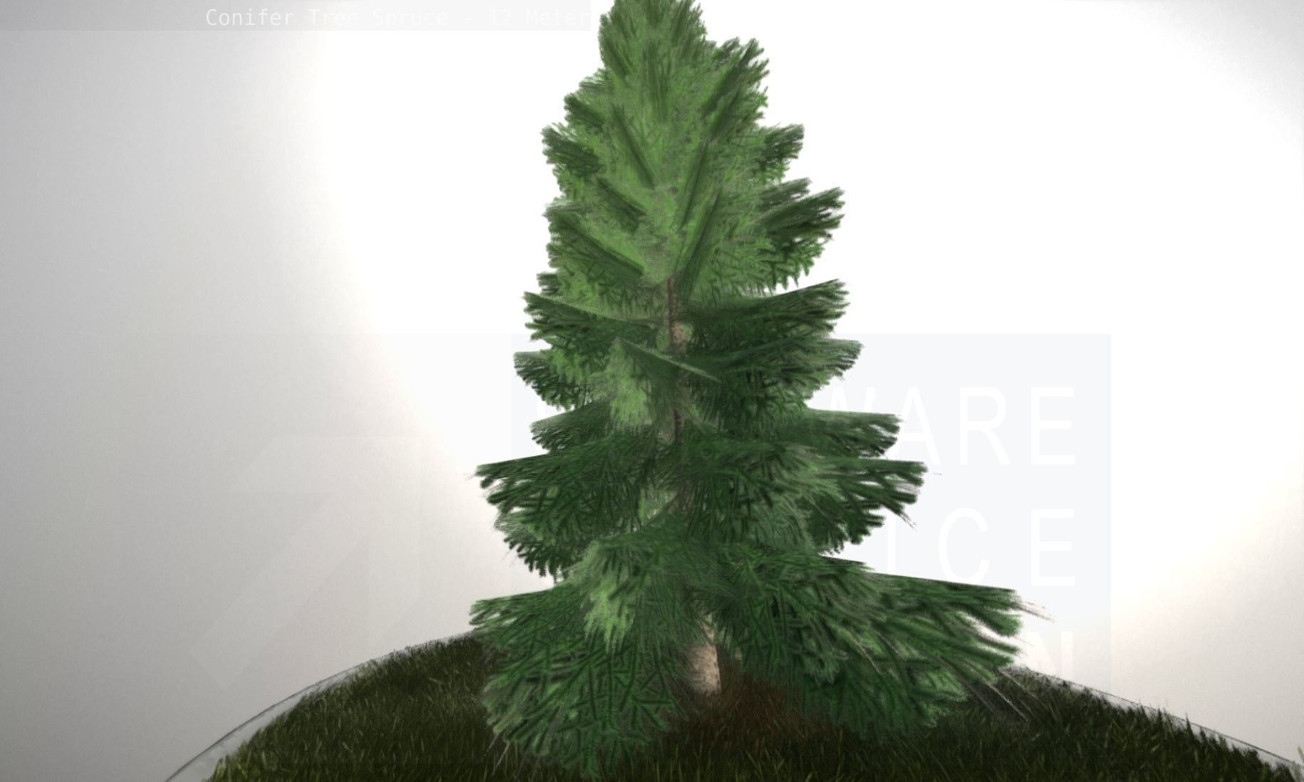 Conifer Tree Spruce - 12 Meter Low-poly 3D model_97
