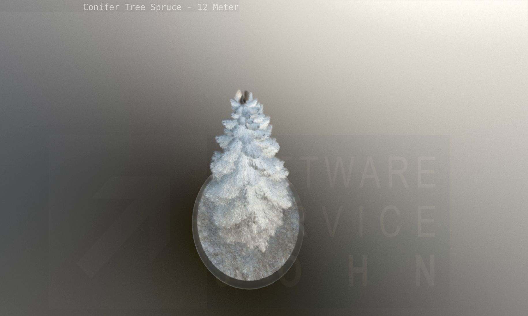 Conifer Tree Spruce - 12 Meter Low-poly 3D model_123