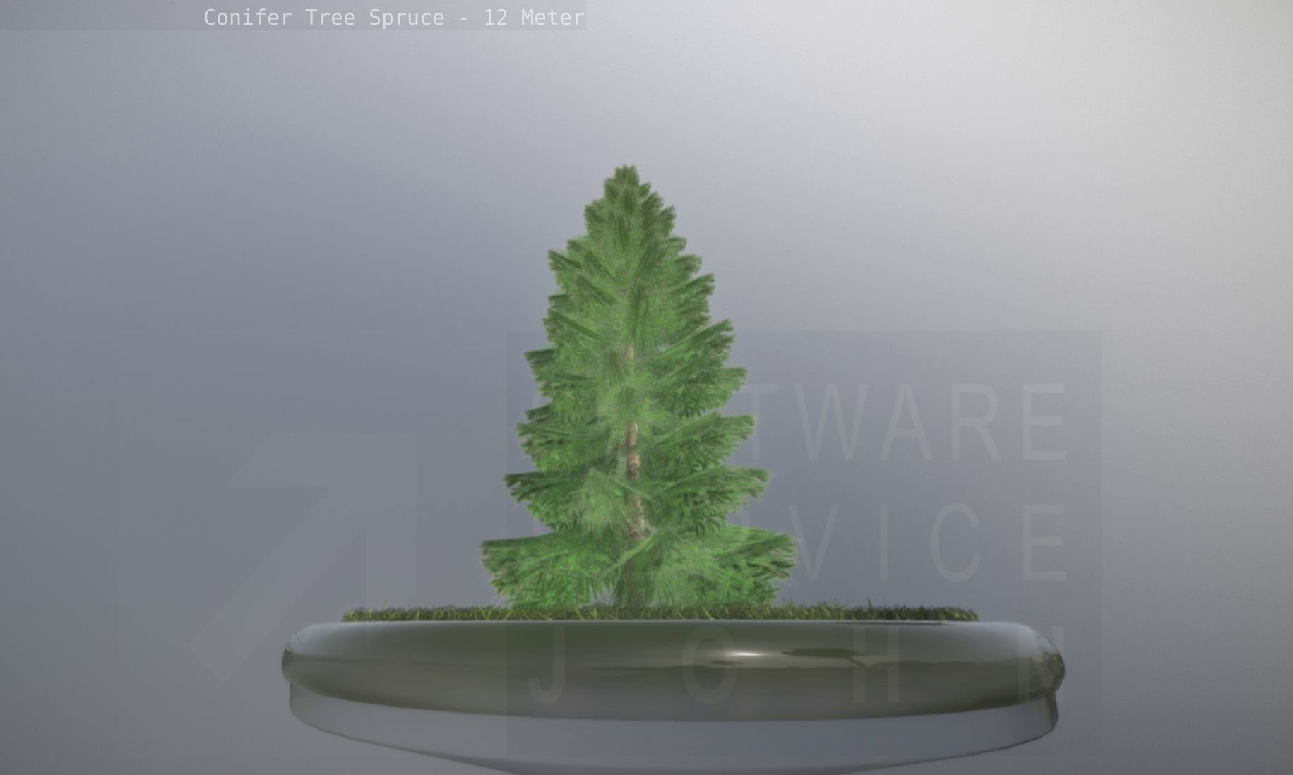 Conifer Tree Spruce - 12 Meter Low-poly 3D model_87