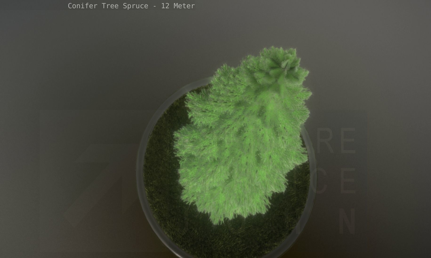Conifer Tree Spruce - 12 Meter Low-poly 3D model_46
