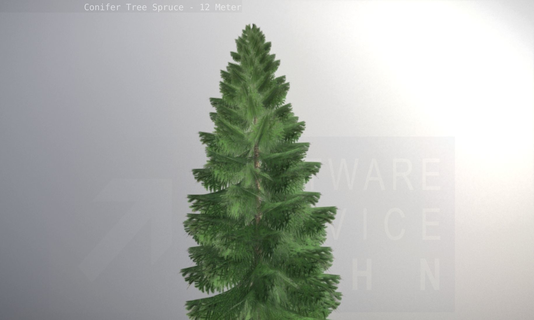 Conifer Tree Spruce - 12 Meter Low-poly 3D model_50