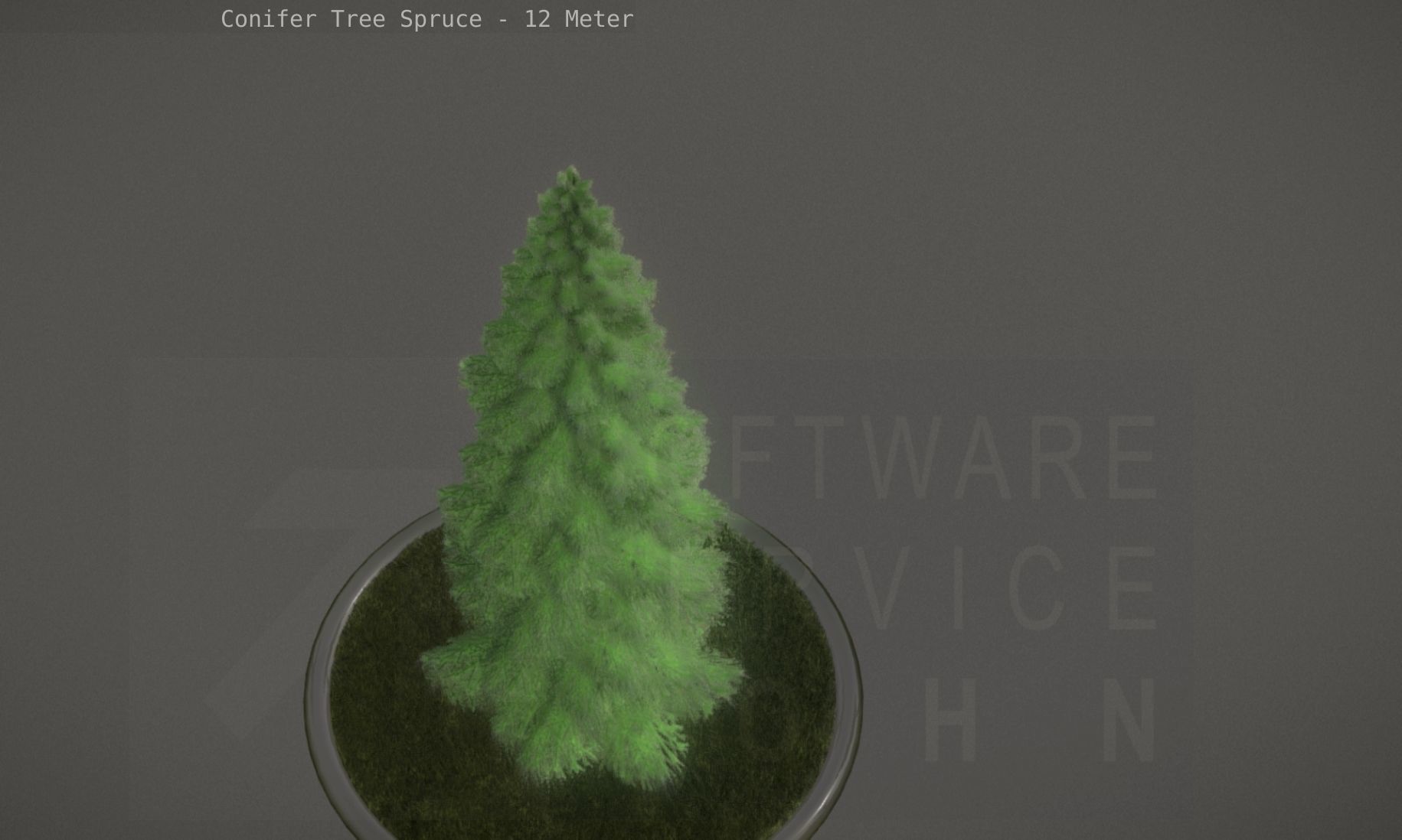 Conifer Tree Spruce - 12 Meter Low-poly 3D model_77