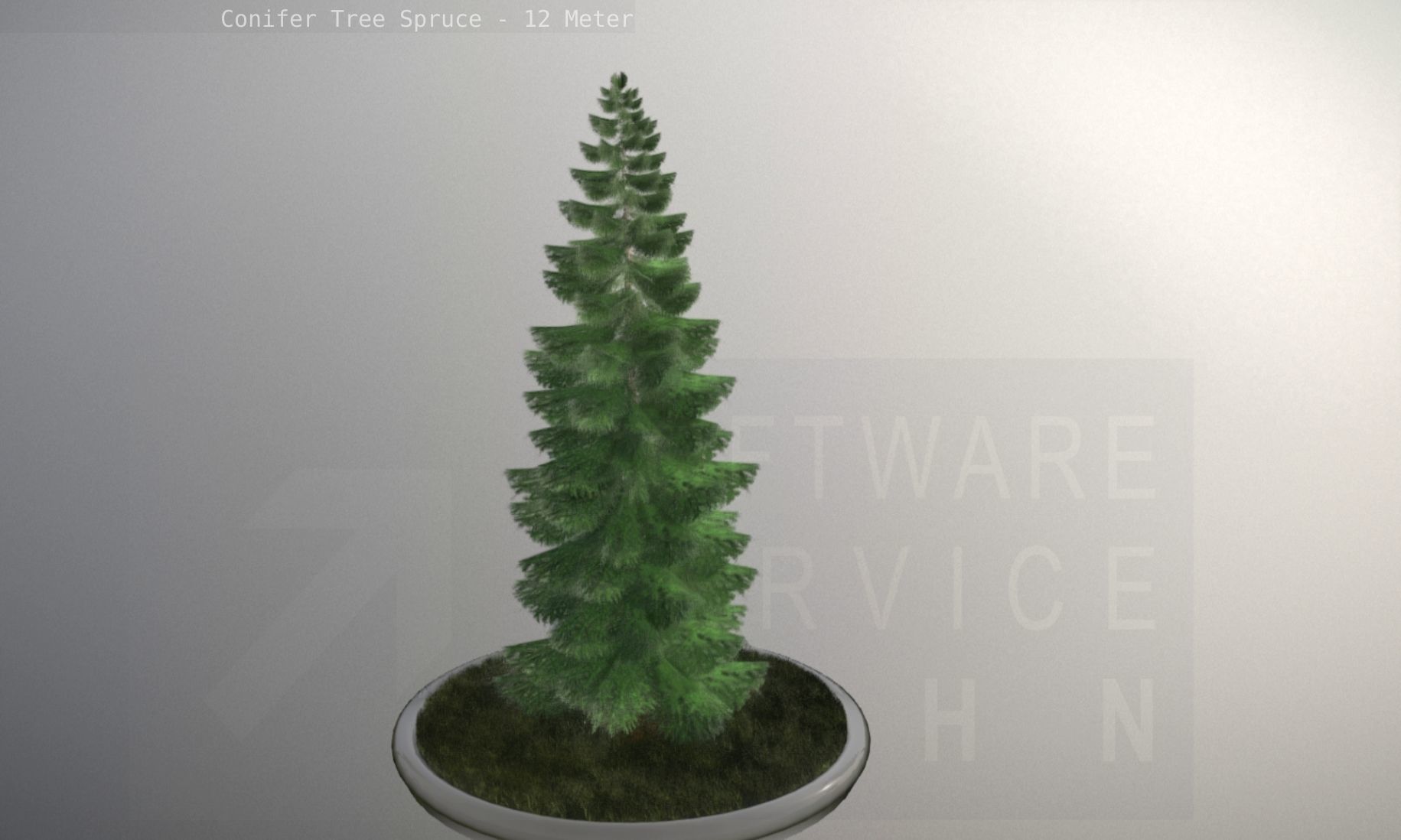 Conifer Tree Spruce - 12 Meter Low-poly 3D model_19