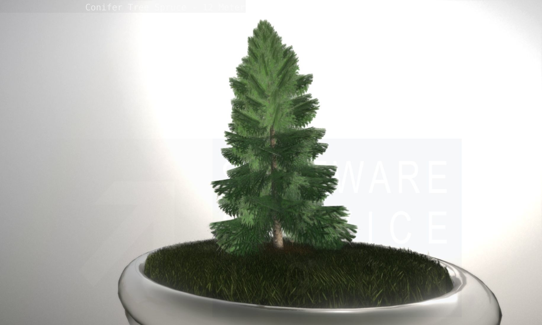 Conifer Tree Spruce - 12 Meter Low-poly 3D model_94