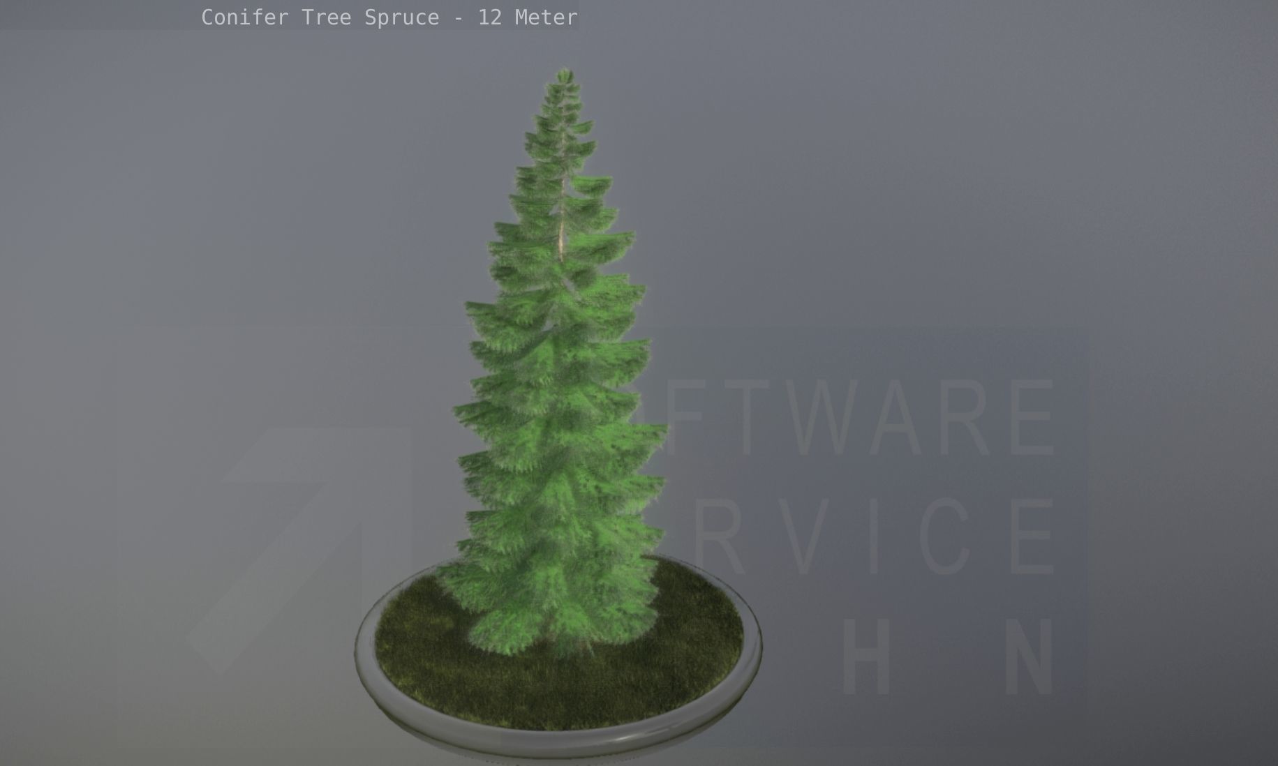 Conifer Tree Spruce - 12 Meter Low-poly 3D model_11