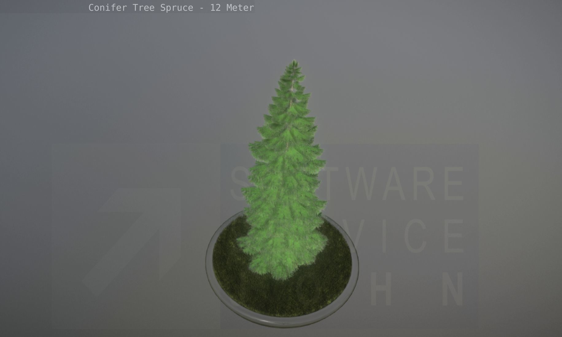 Conifer Tree Spruce - 12 Meter Low-poly 3D model_44
