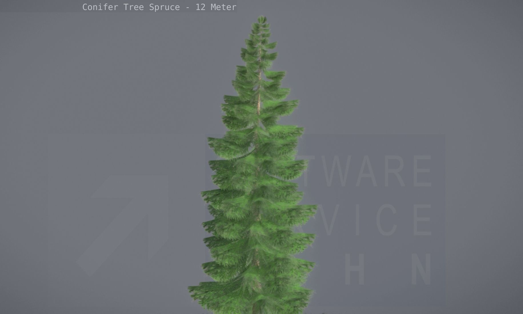 Conifer Tree Spruce - 12 Meter Low-poly 3D model_39