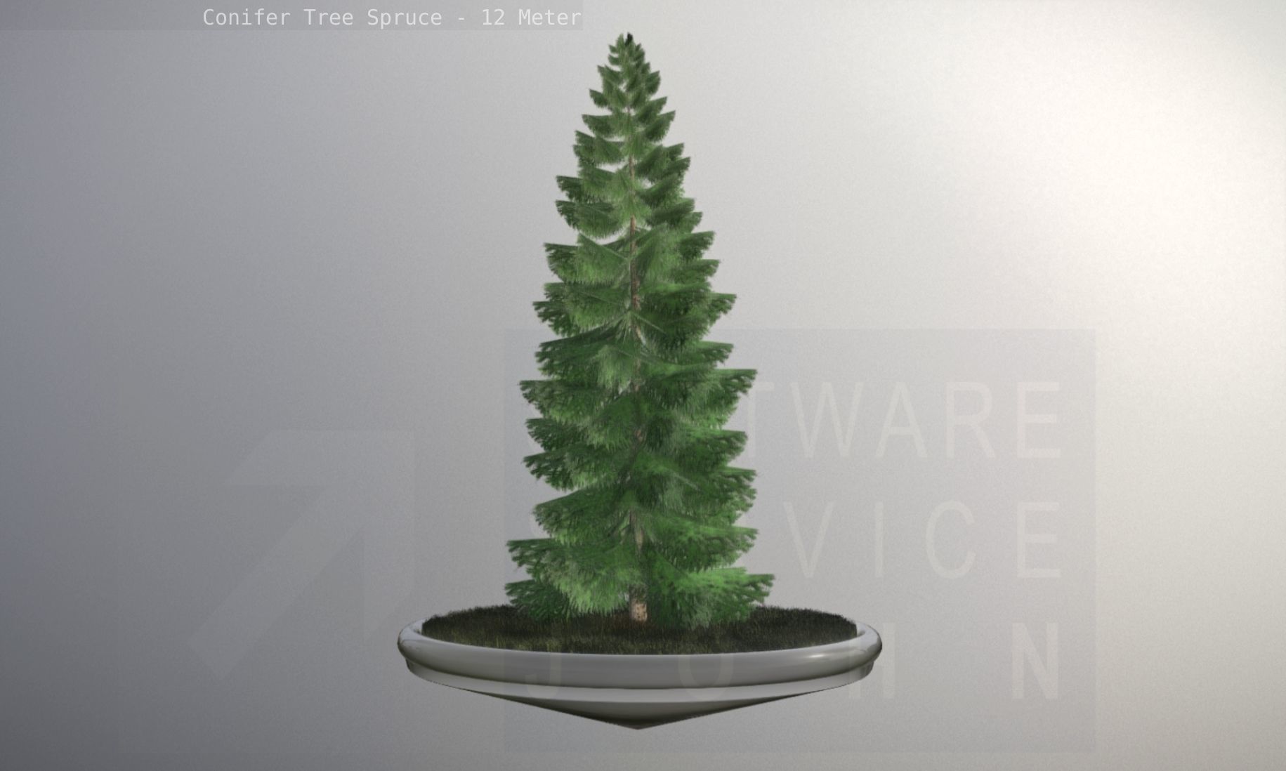 Conifer Tree Spruce - 12 Meter Low-poly 3D model_54