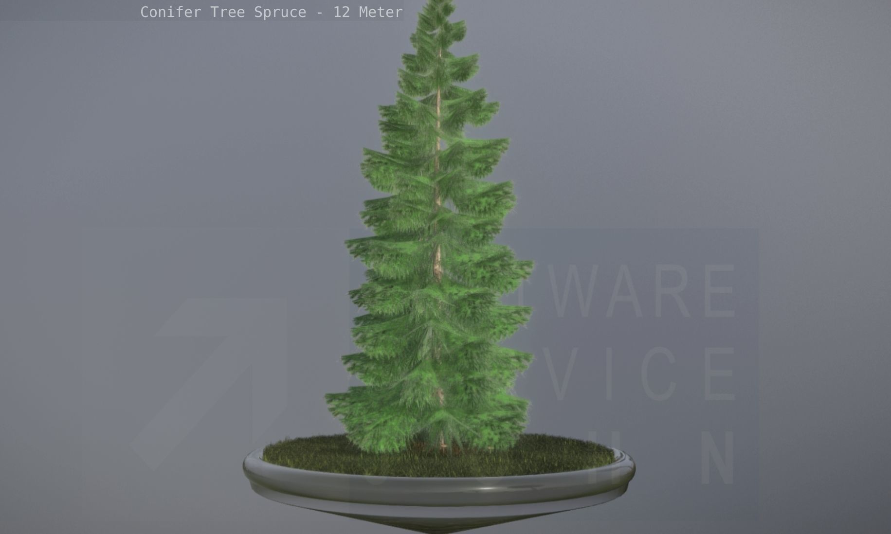 Conifer Tree Spruce - 12 Meter Low-poly 3D model_62