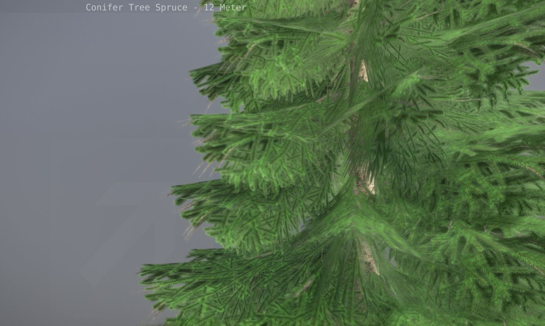 Conifer Tree Spruce - 12 Meter Low-poly 3D model_60