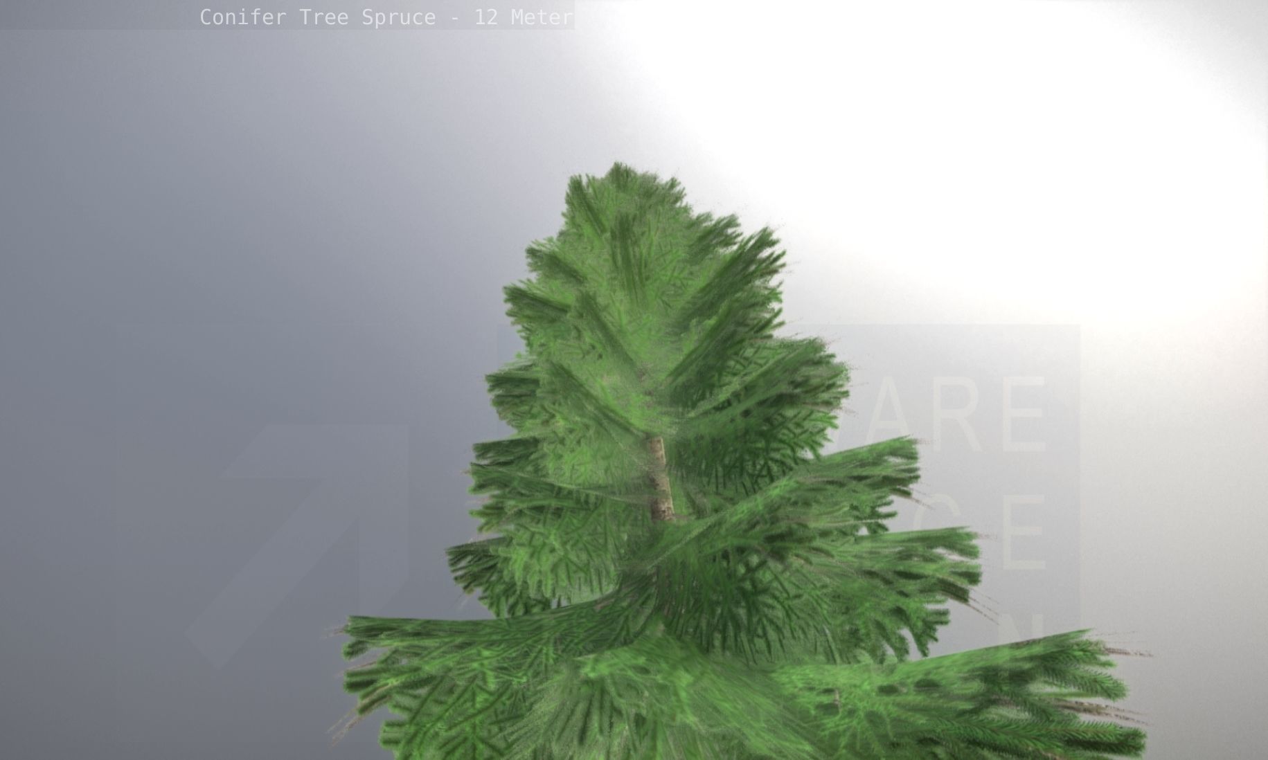 Conifer Tree Spruce - 12 Meter Low-poly 3D model_85