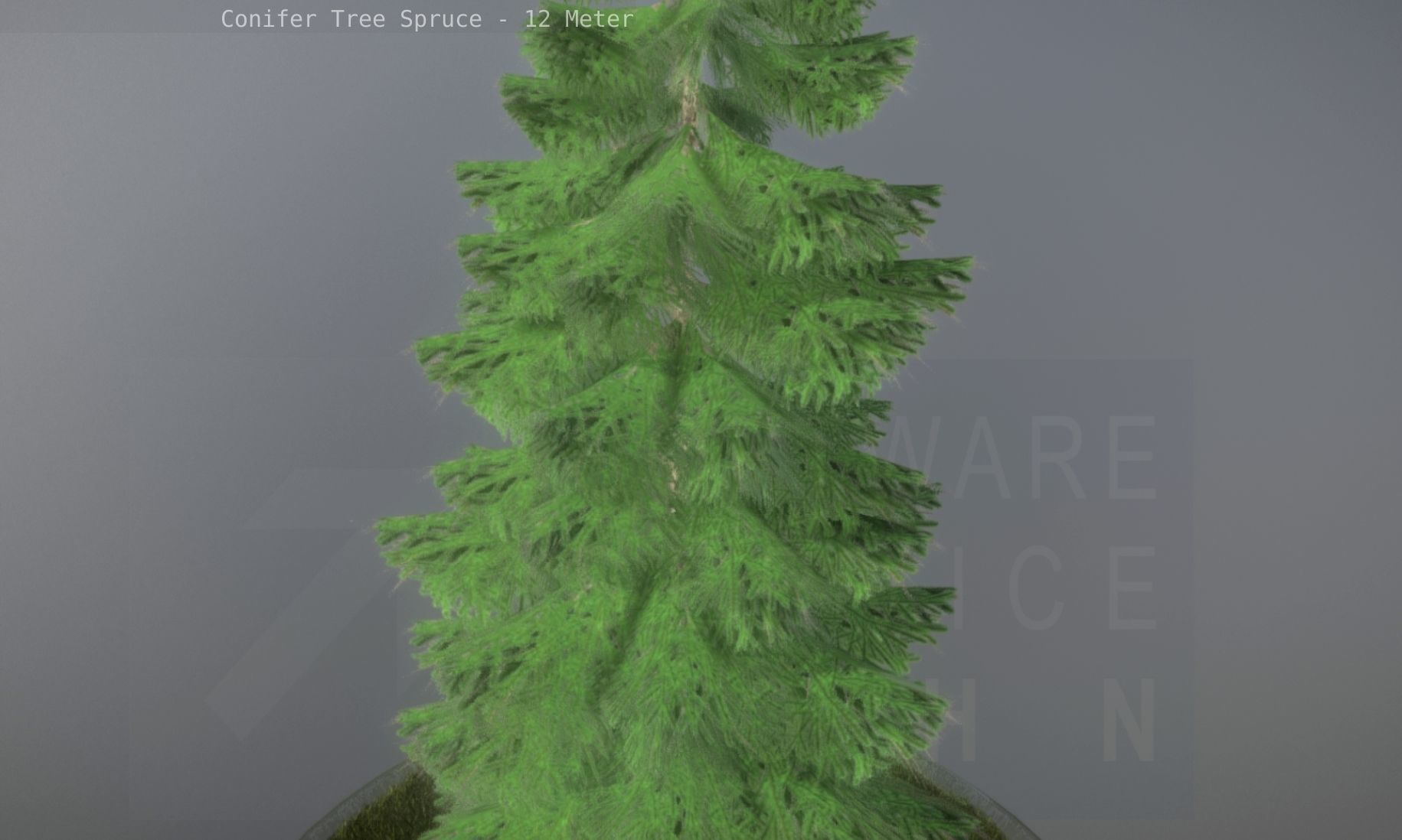 Conifer Tree Spruce - 12 Meter Low-poly 3D model_27