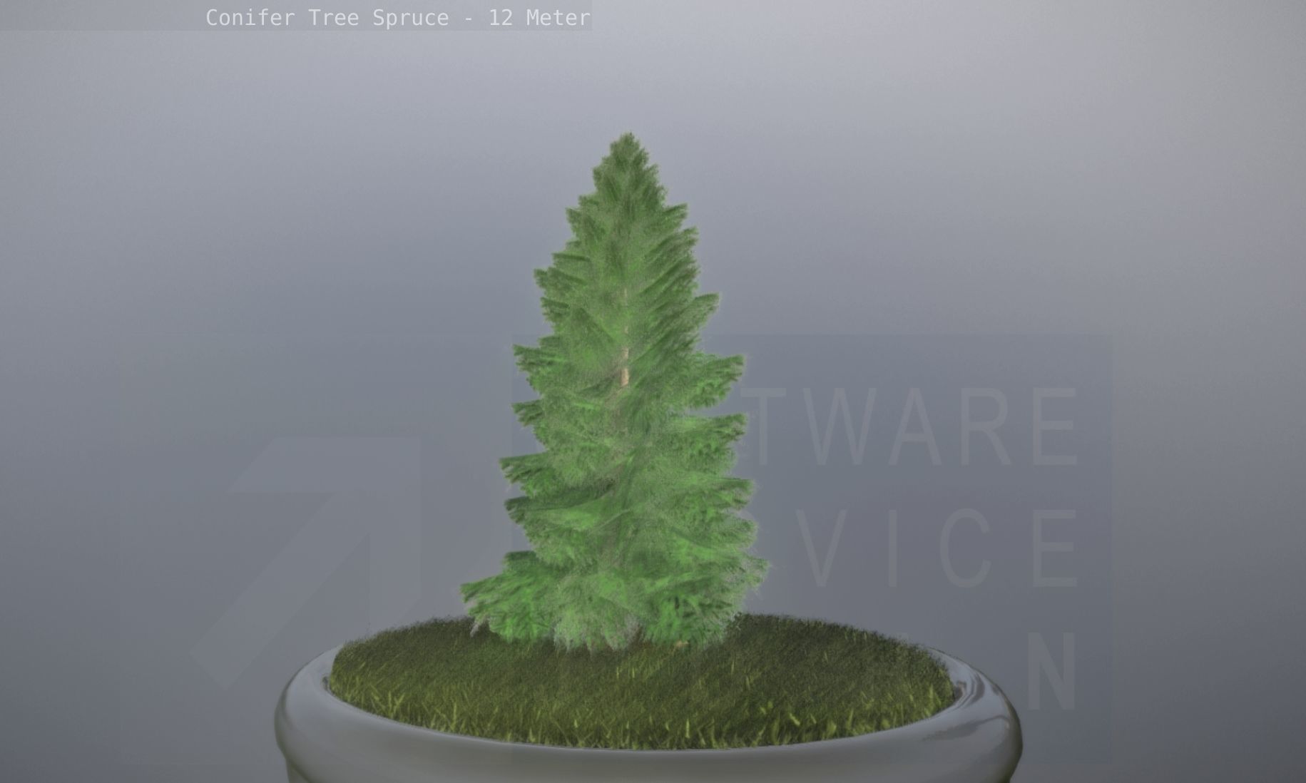 Conifer Tree Spruce - 12 Meter Low-poly 3D model_29