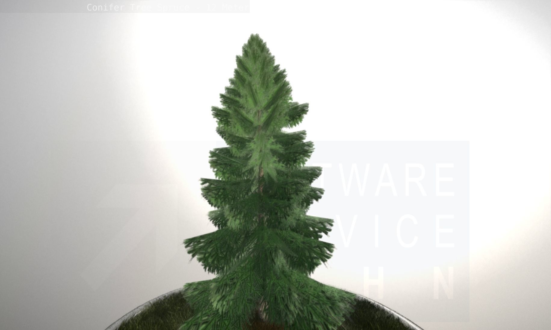 Conifer Tree Spruce - 12 Meter Low-poly 3D model_103