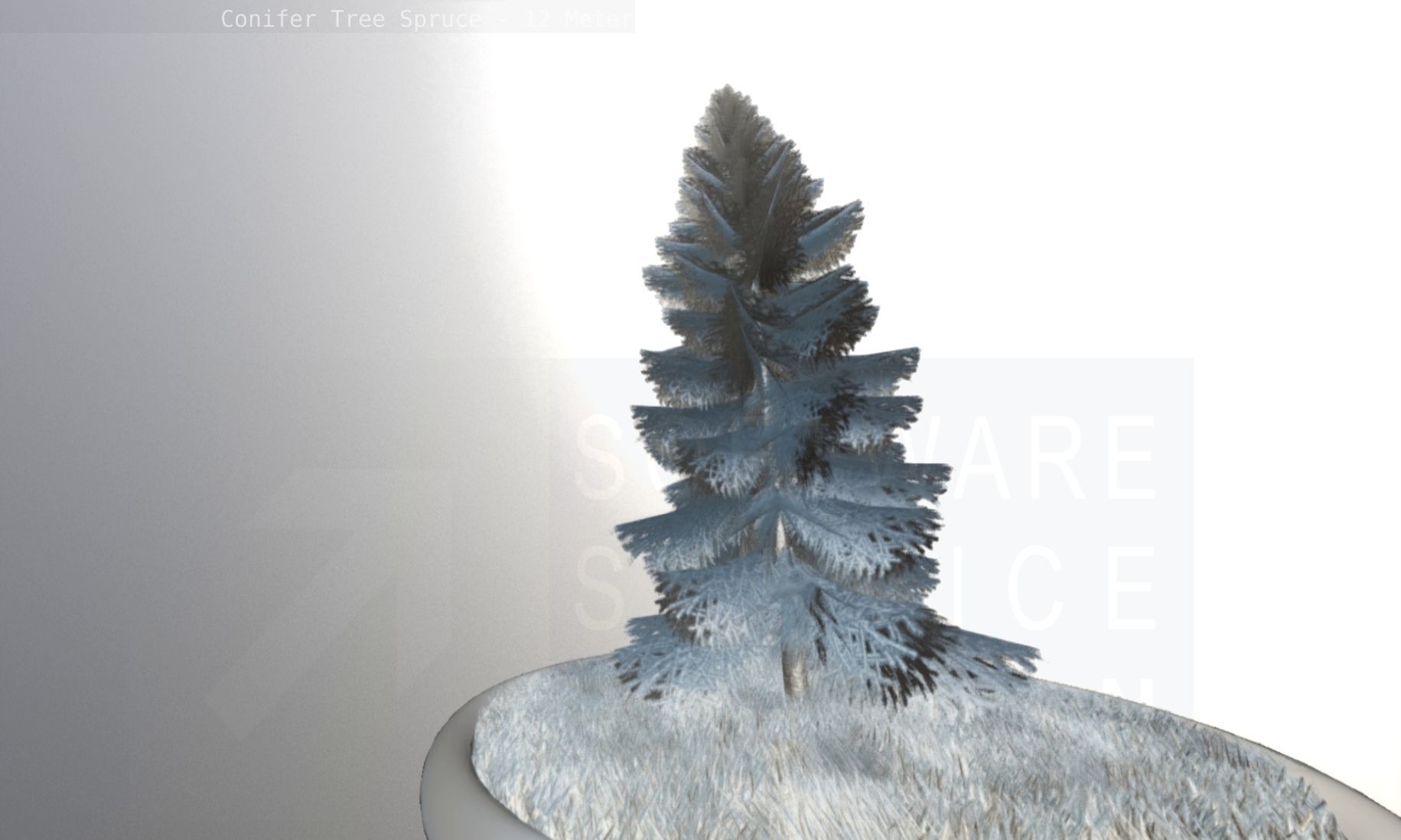 Conifer Tree Spruce - 12 Meter Low-poly 3D model_130