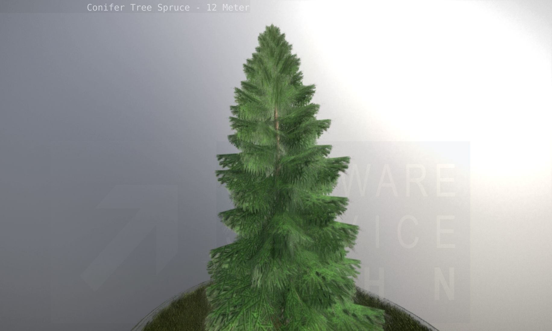 Conifer Tree Spruce - 12 Meter Low-poly 3D model_83