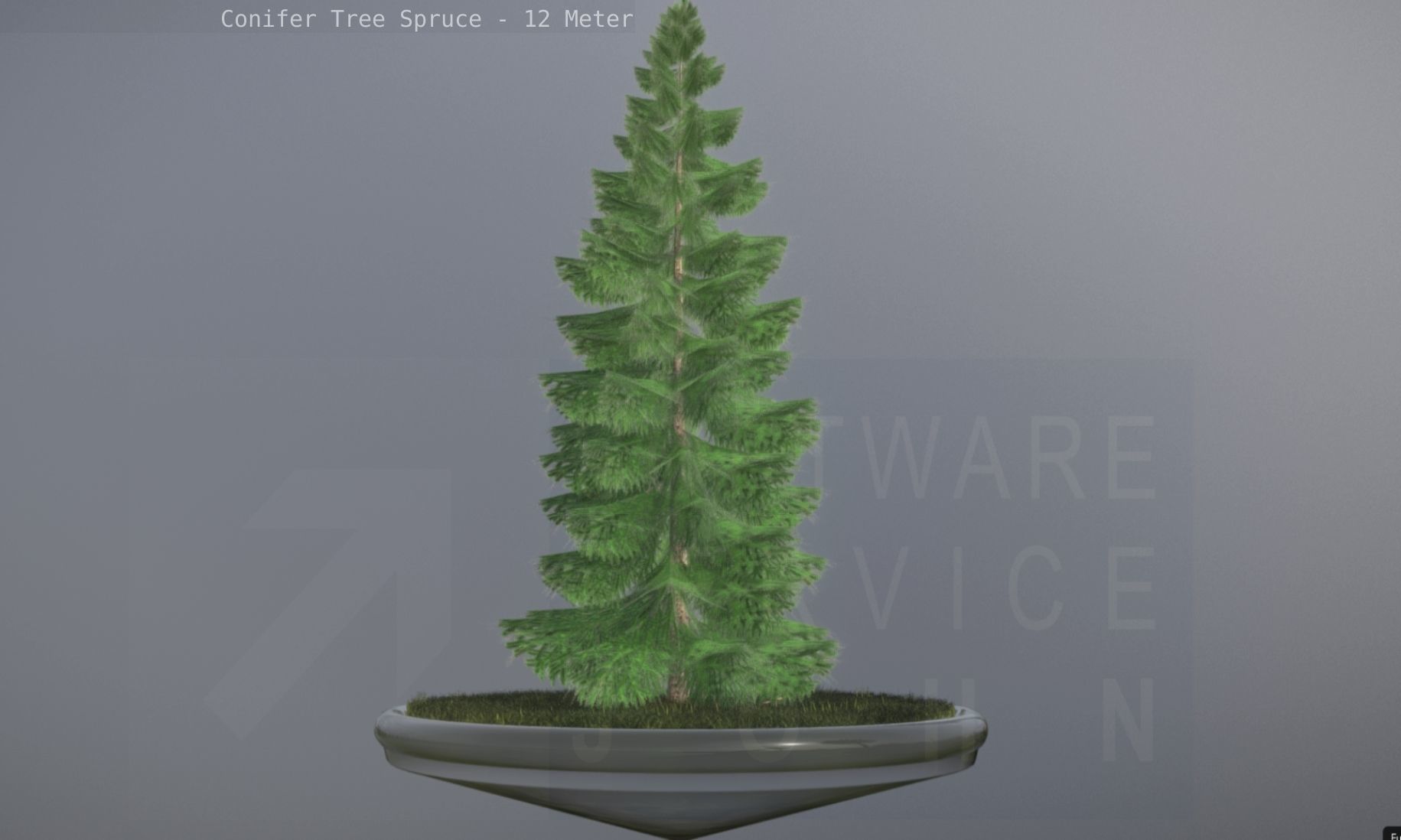 Conifer Tree Spruce - 12 Meter Low-poly 3D model_65