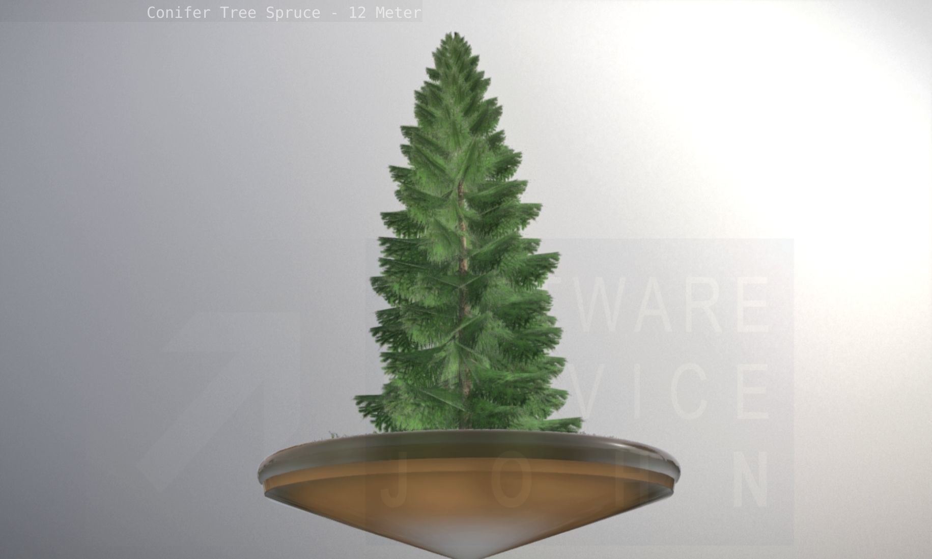 Conifer Tree Spruce - 12 Meter Low-poly 3D model_51