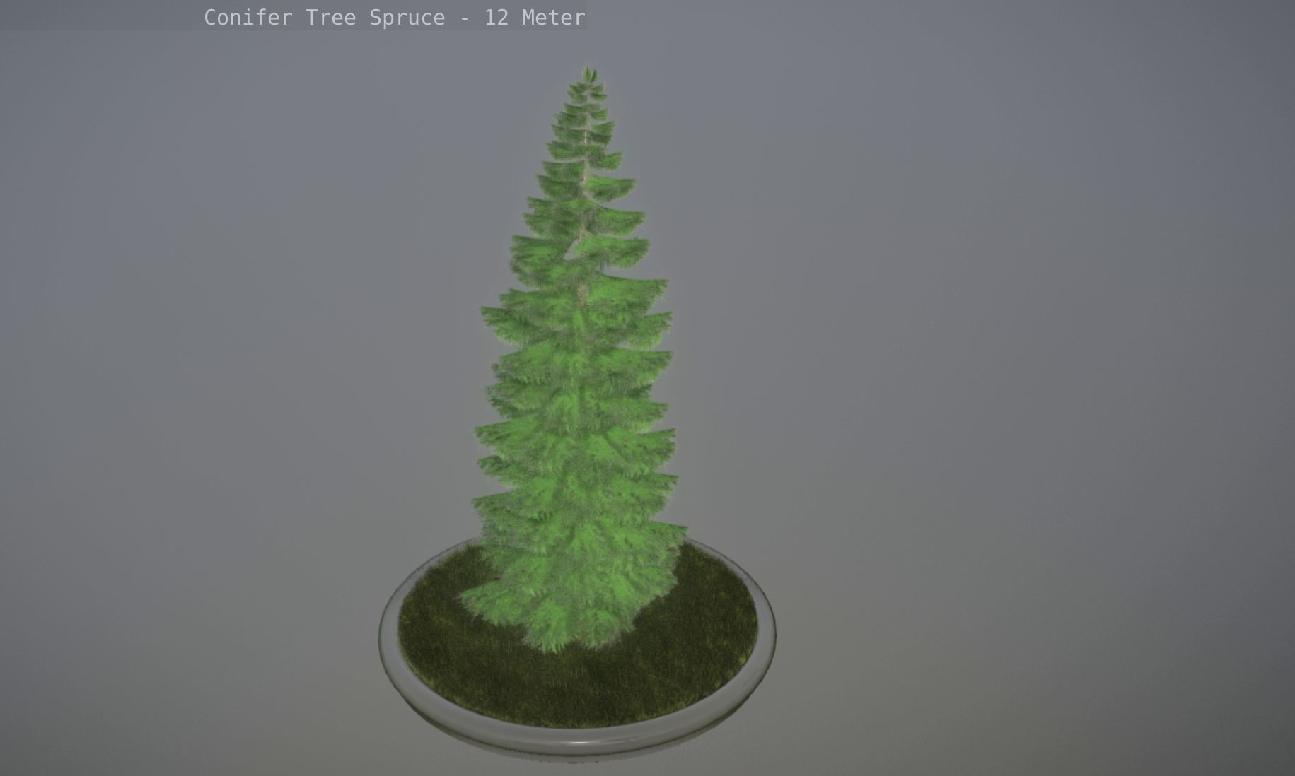 Conifer Tree Spruce - 12 Meter Low-poly 3D model_125