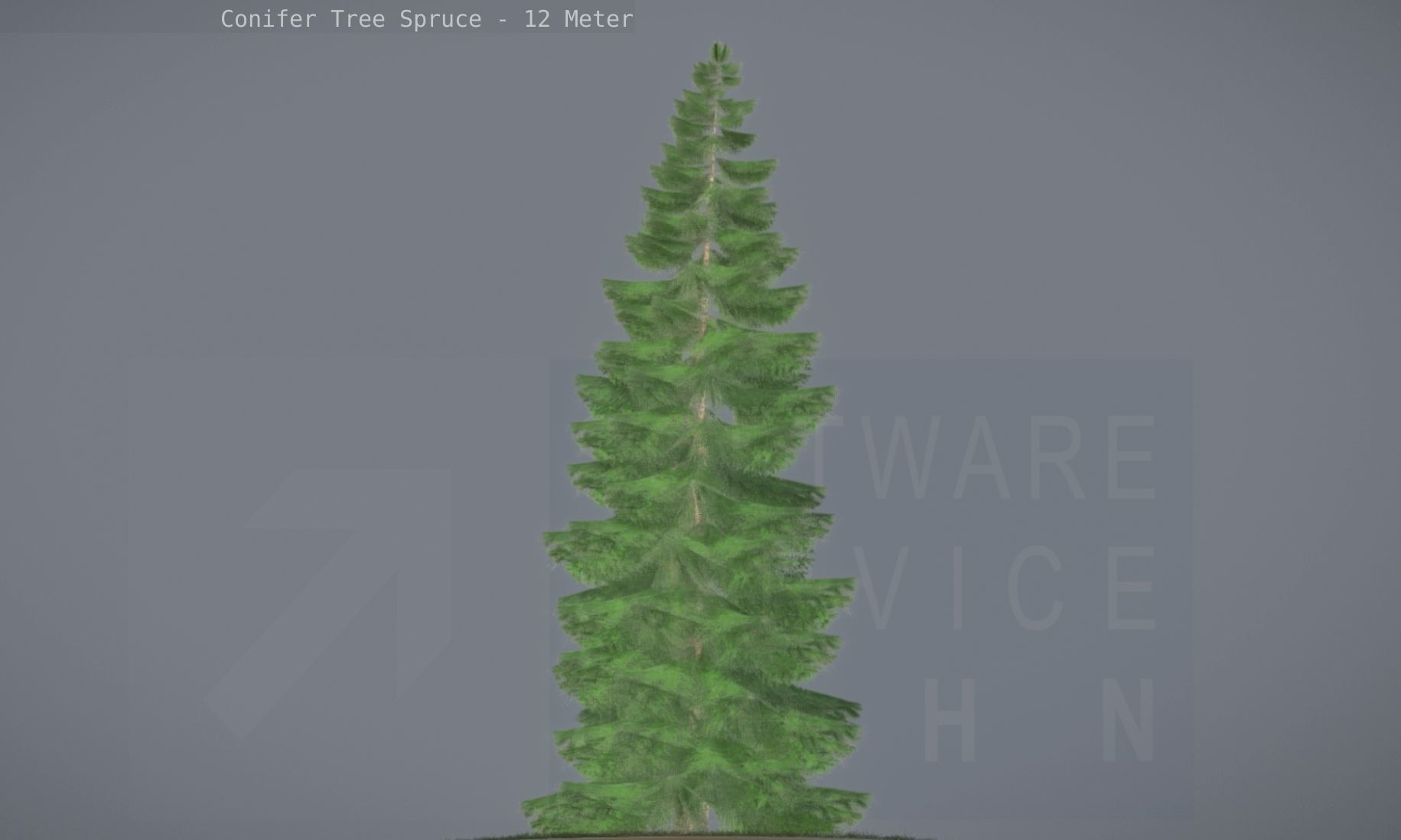 Conifer Tree Spruce - 12 Meter Low-poly 3D model_67