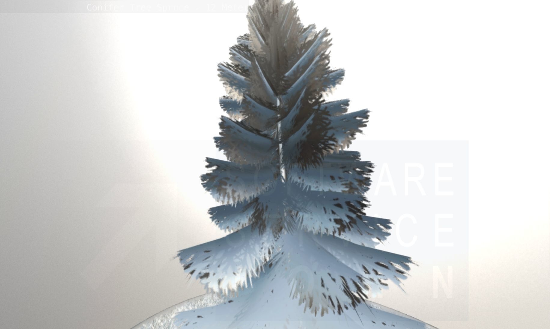Conifer Tree Spruce - 12 Meter Low-poly 3D model_119