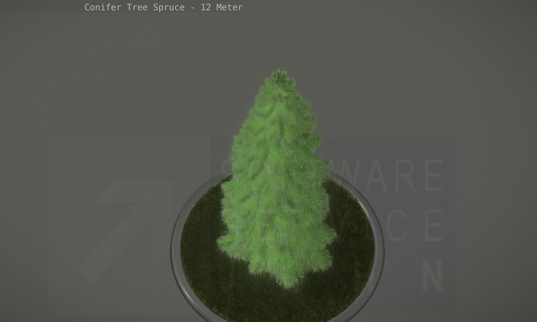 Conifer Tree Spruce - 12 Meter Low-poly 3D model_75