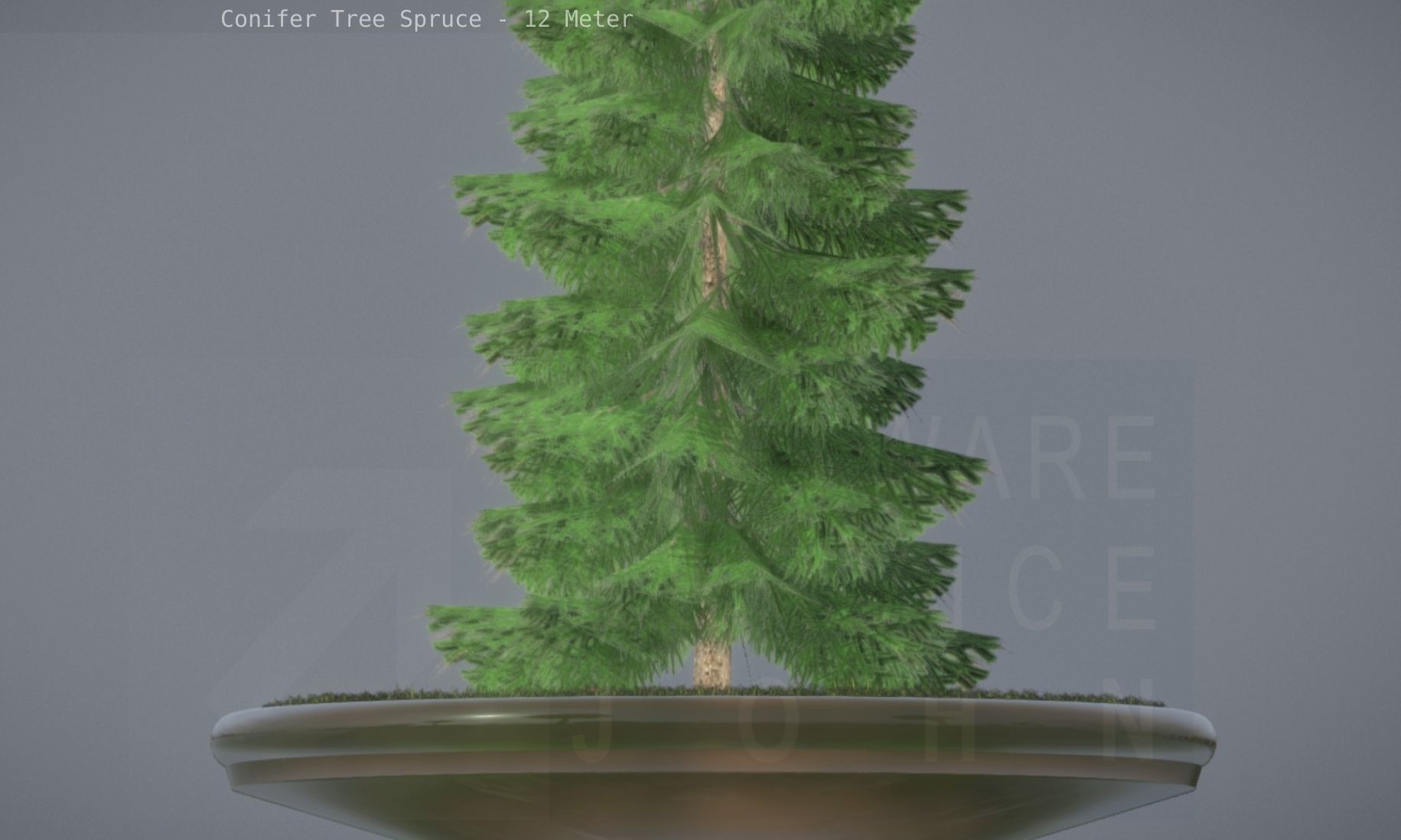 Conifer Tree Spruce - 12 Meter Low-poly 3D model_68