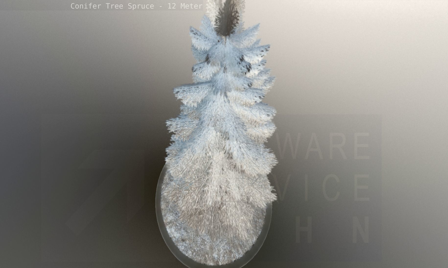 Conifer Tree Spruce - 12 Meter Low-poly 3D model_126