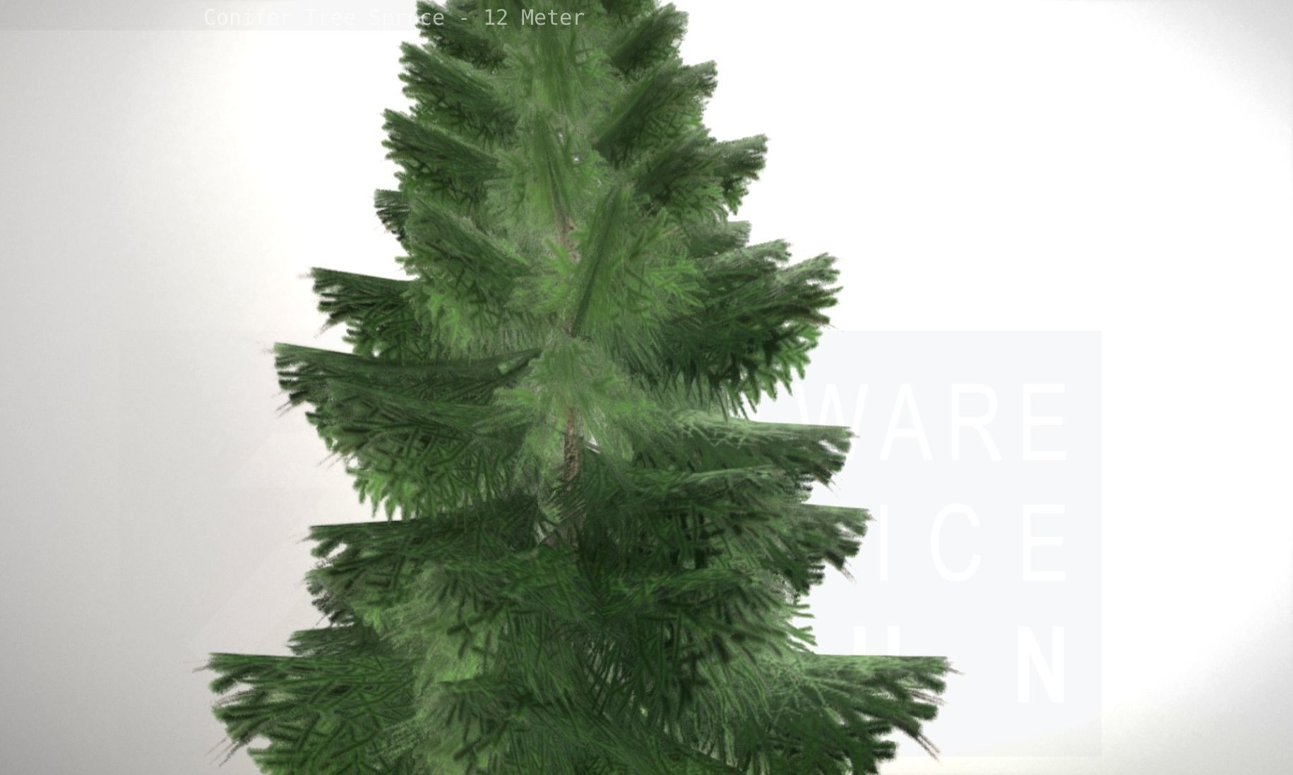Conifer Tree Spruce - 12 Meter Low-poly 3D model_8