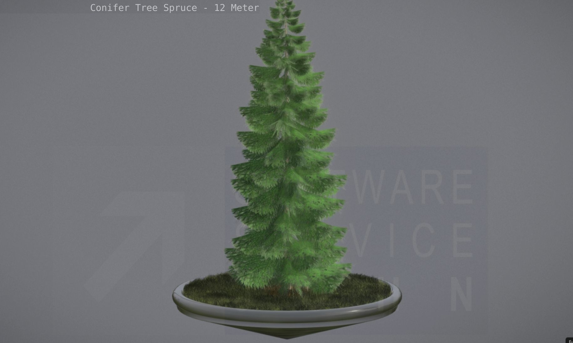 Conifer Tree Spruce - 12 Meter Low-poly 3D model_41